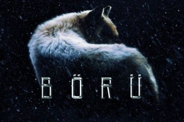 Börü nedir? kelime anlamı nedir? Eski Türk döneminde börü kimlere denirdi?