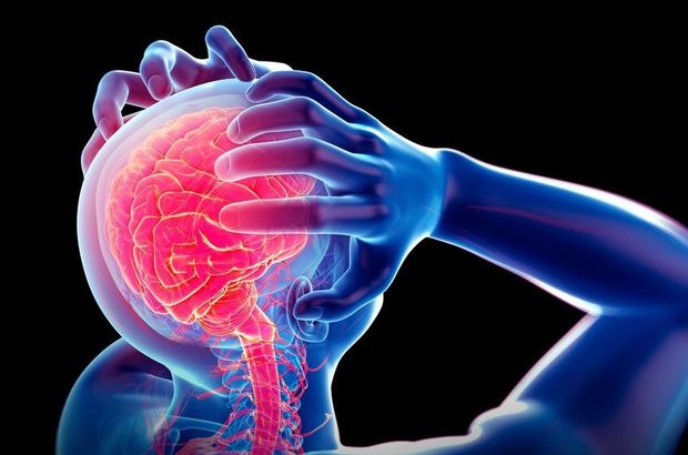 Nöroloji ne demek? Nöroloji nedir? Hangi hastalıkları kapsar? 