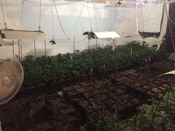 Lüks Villaya Uyuşturucu Operasyonu.