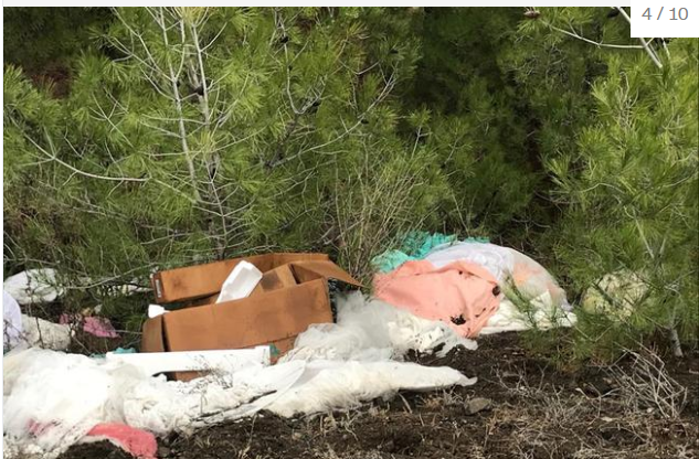 Ormanlık alanda bulunan gelinlikler şaşırttı