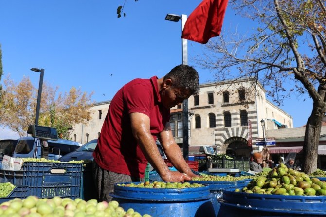 Yağışlar zeytin fiyatlarını artırdı