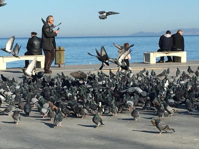 Akçakoca’da bahar havası
