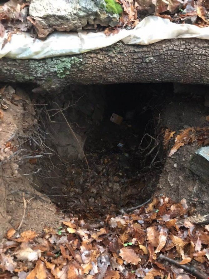 Tunceli’de terör operasyonu çok sayıda şarjör gıda ve tıbbı malzeme ele geçirildi