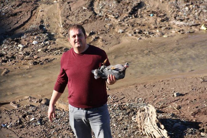 Oltu Çayına düşen tavuğu itfaiye yardımıyla kurtardılar