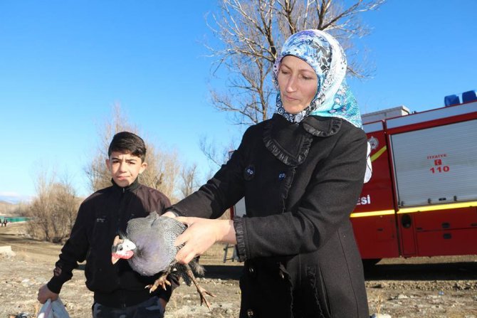 Oltu Çayına düşen tavuğu itfaiye yardımıyla kurtardılar