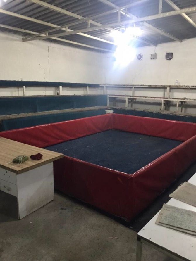 Mardin'in Kızıltepe ilçesinde horoz dövüşçülerine operasyon