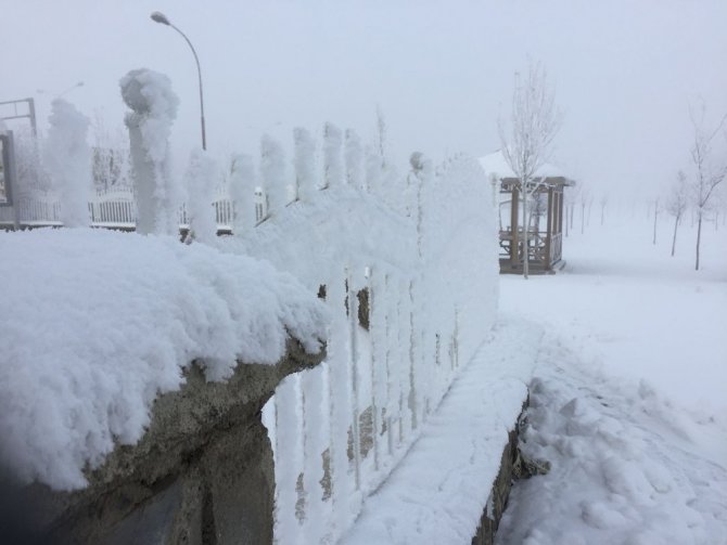 Erzurum'da Karlı Hava Hayatı Felç Etti