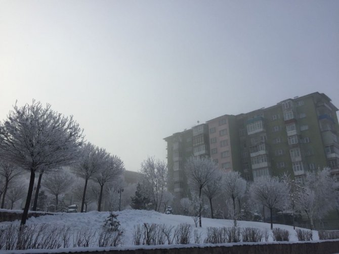 Erzurum'da Karlı Hava Hayatı Felç Etti
