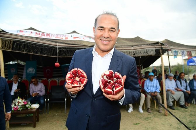 Adana ekolojisine uygun nar çeşitleri geliştirilecek