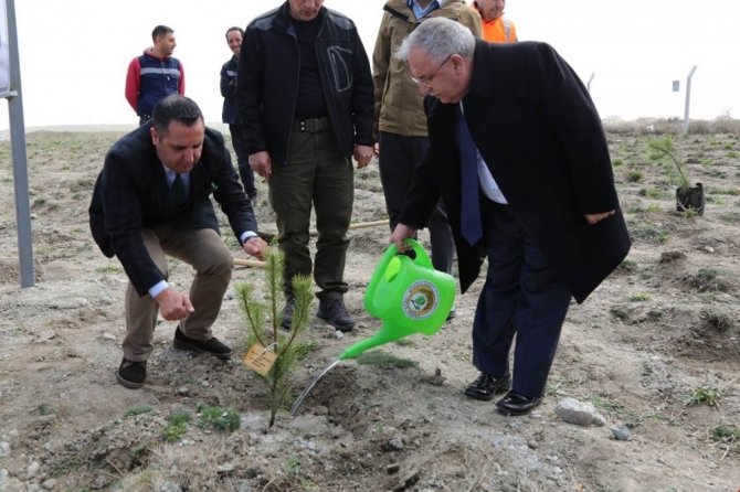 Kütahya’da ’şehitler için bir fidan da sen dik’ projesi