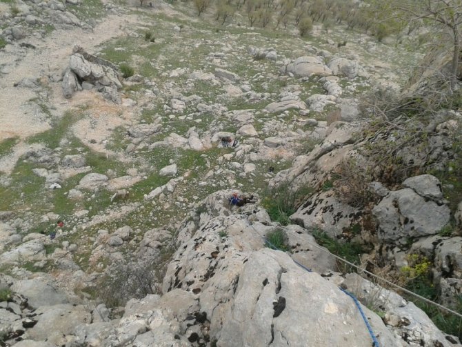 Adıyaman'da kayalıklarda mahsur kalan 8 keçi kurtarıldı