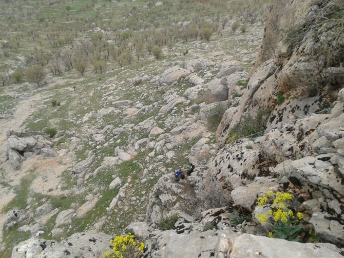 Adıyaman'da kayalıklarda mahsur kalan 8 keçi kurtarıldı