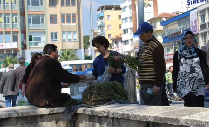 Aydın’da kedirgen otu garibana iş, zengine aş oldu