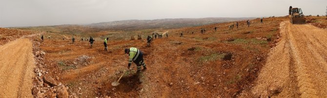 Fadıloğlu’ndan Fidan Dikim Töreni İçin Davet