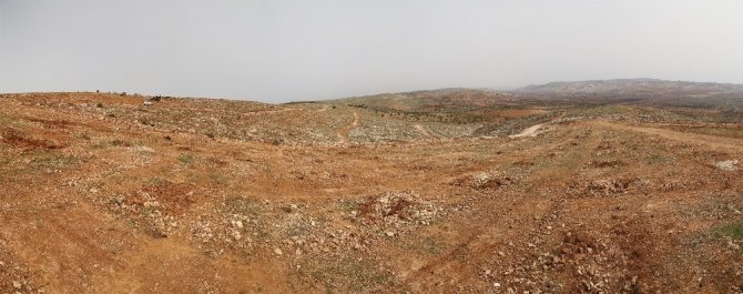 Fadıloğlu’ndan Fidan Dikim Töreni İçin Davet