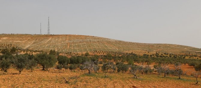 Fadıloğlu’ndan Fidan Dikim Töreni İçin Davet