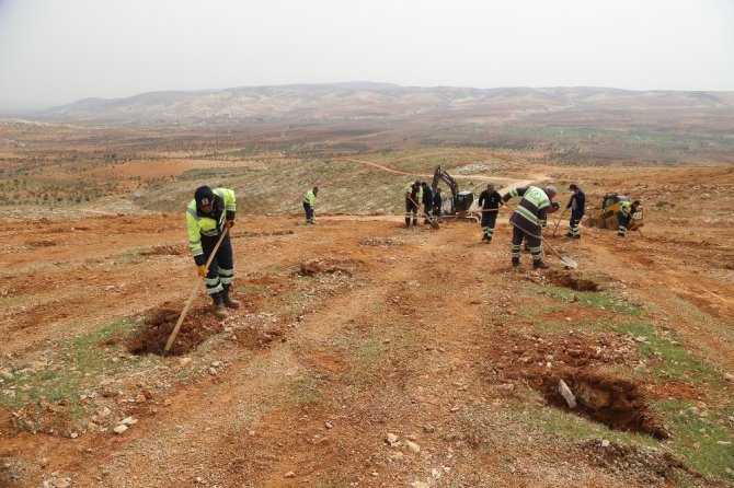 Fadıloğlu’ndan Fidan Dikim Töreni İçin Davet