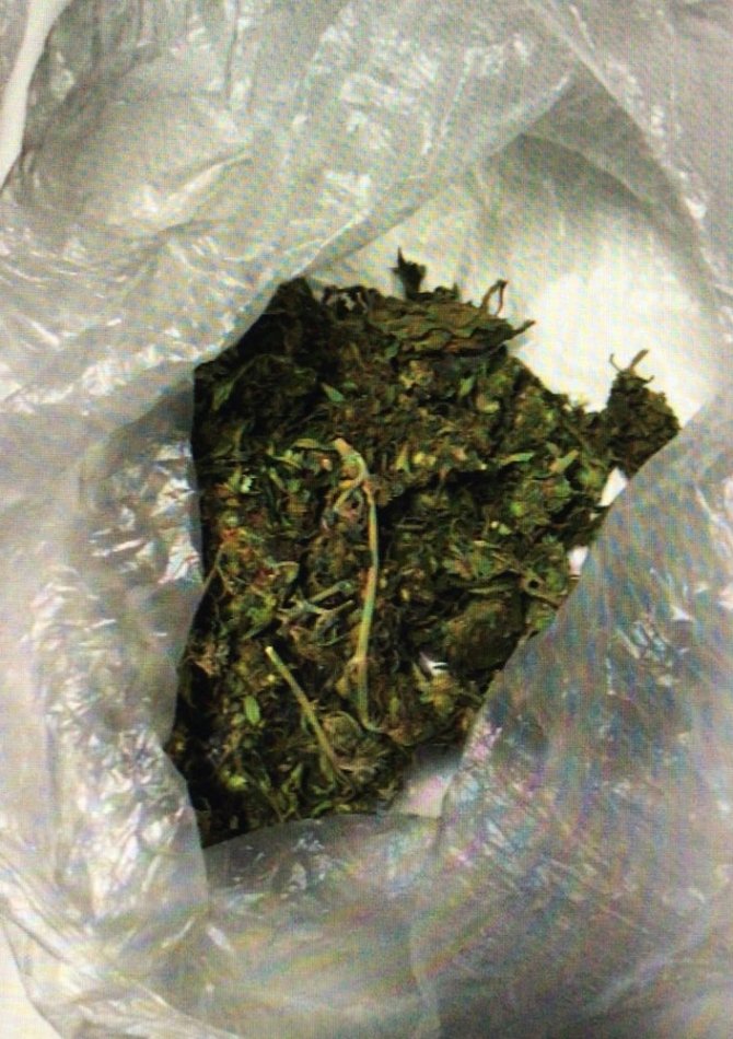 Muğla Merkezli 4 ilde dev uyuşturucu operasyonu: 9 gözaltı