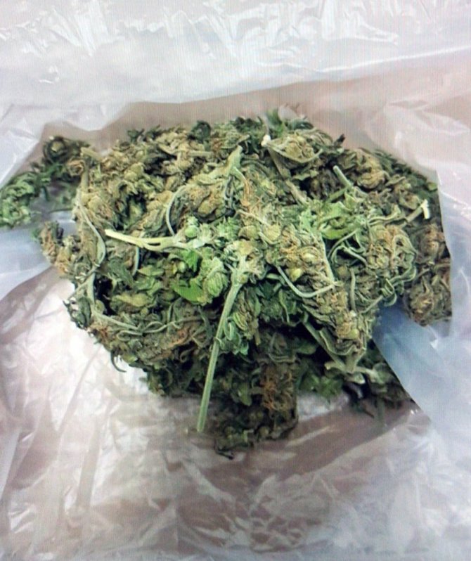 Muğla Merkezli 4 ilde dev uyuşturucu operasyonu: 9 gözaltı