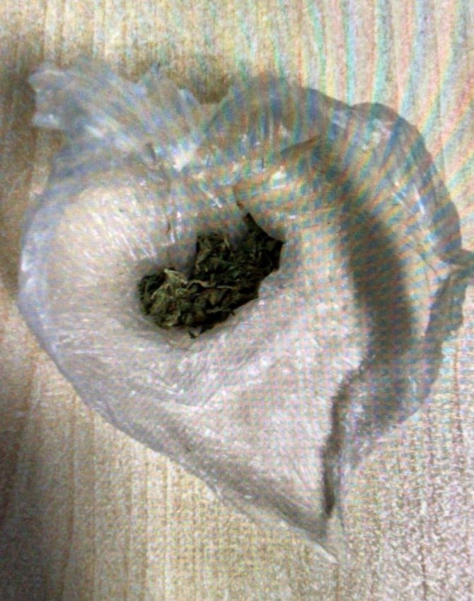 Muğla Merkezli 4 ilde dev uyuşturucu operasyonu: 9 gözaltı