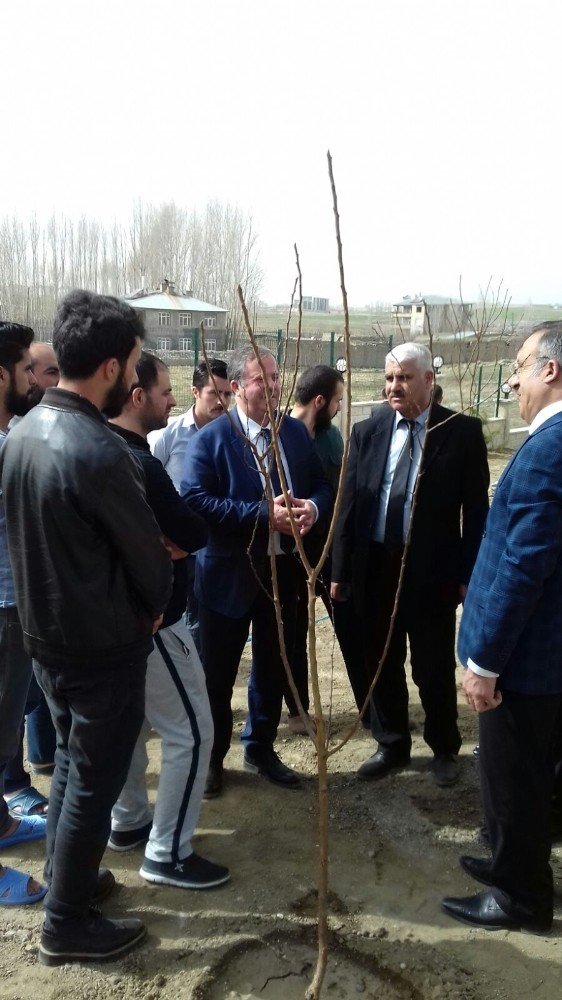 Van’da fidan dikimi yapıldı