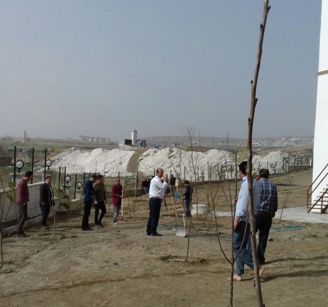 Van’da fidan dikimi yapıldı