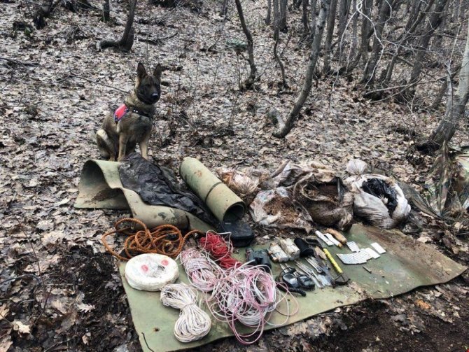 Bingöl’de 100 kilo amonyum nitrat ele geçirildi