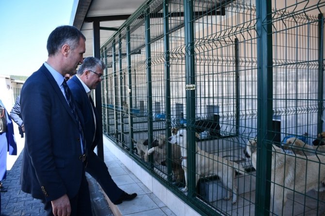 Bursa’ya örnek Hayvan Bakım Merkezi