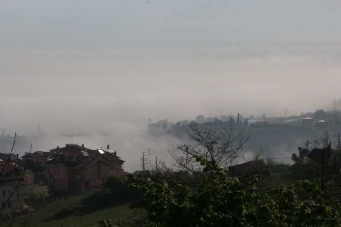 Ziraat Mühendisleri Odası Trabzon Şube Başkanı Pehlevan Açıklama Yaptı