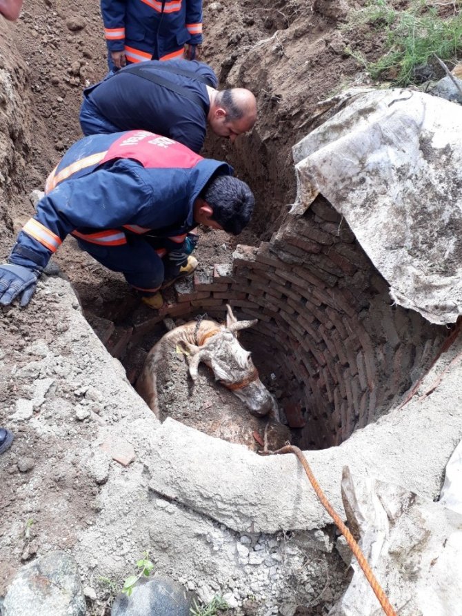 Elazığ'da 9 metre Kuyuya düşen ineği itfaiye kurtardı