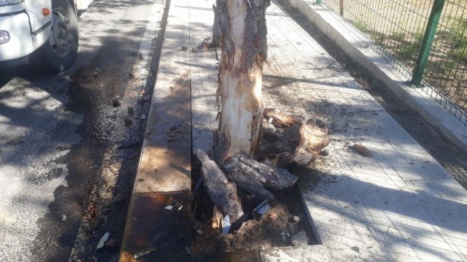 Elazığ'da Otomobil Merkez Alparslan Türkeş Bulvarında ağaca çarptı: 1 yaralı