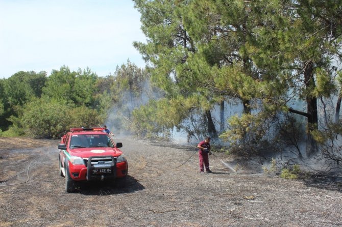 Antalya’da orman yangını çıktı