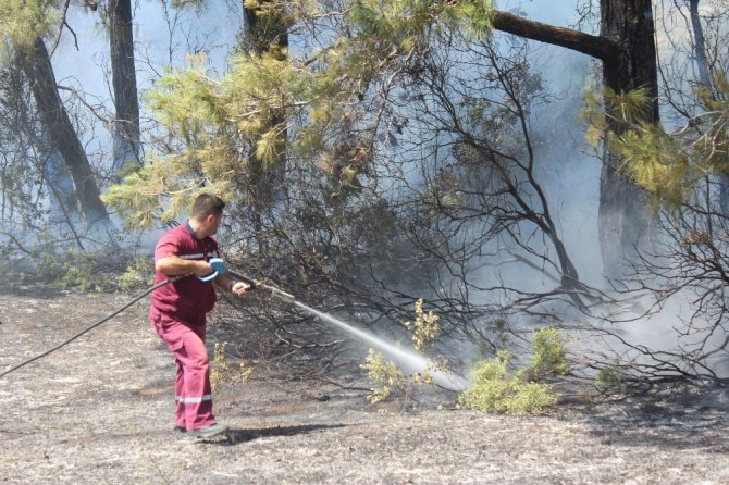 Antalya’da orman yangını çıktı