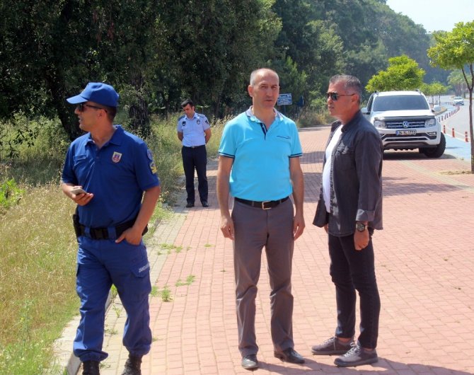 Antalya’da orman yangını çıktı