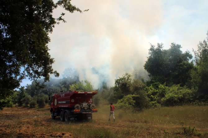 Antalya’da orman yangını çıktı