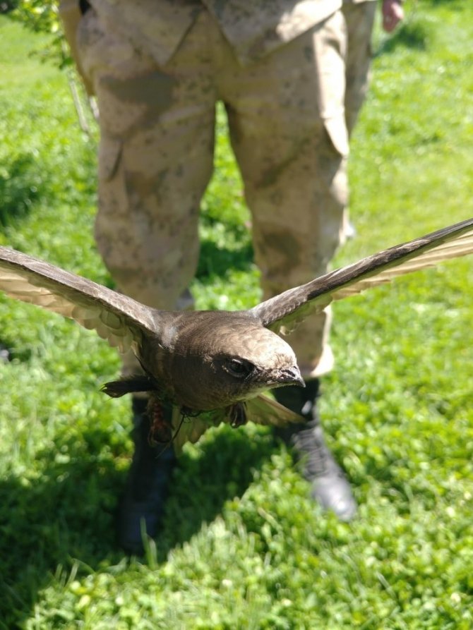 Aşkalede Jandarmadan örnek davranış