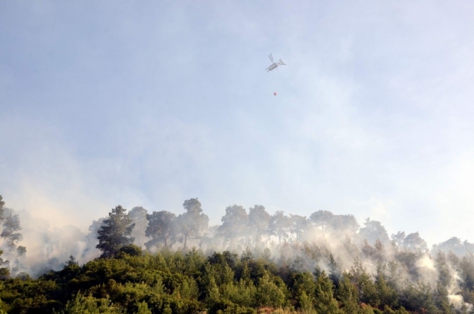 Anızdan çıkan yangında 200 hektar alan kül oldu