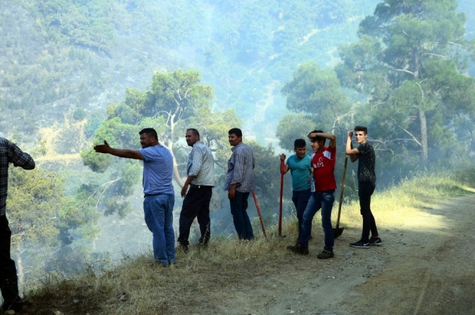 Anızdan çıkan yangında 200 hektar alan kül oldu