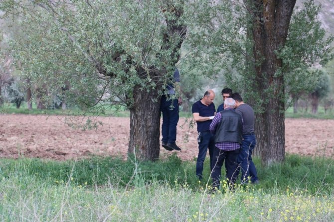 Sivas’ta şüpheli ölüm, ağaca asılı erkek cesedi bulundu