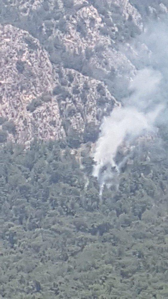 Muğla’da orman yangınına müdahale