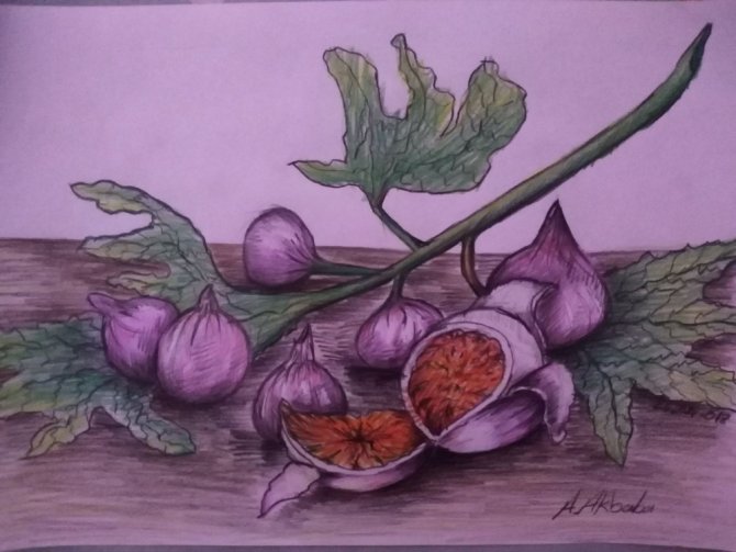 Urfa'da İlkokul öğrencisi resim sergisi açtı