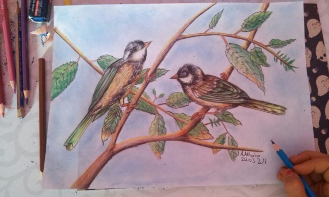 Urfa'da İlkokul öğrencisi resim sergisi açtı