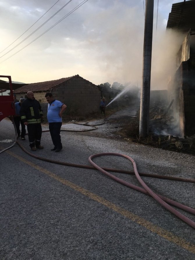 Muğla Milas’ta yangın