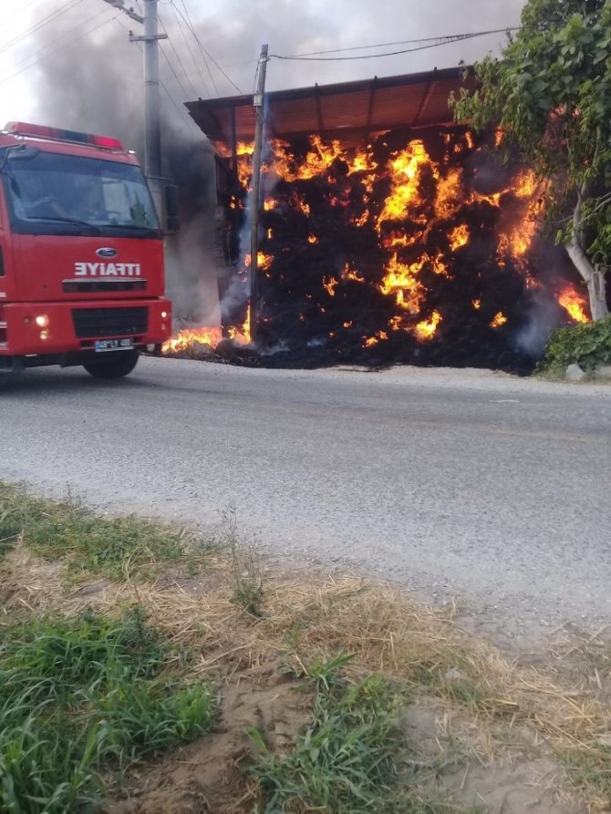 Muğla Milas’ta yangın