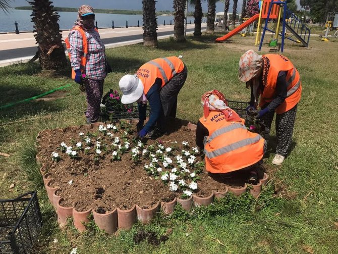 Köyceğiz’de mevsimlik çiçek dikimi