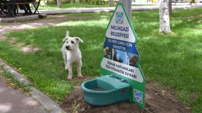 Melikgazi Belediyesi sokak hayvanlarını unutmadı.