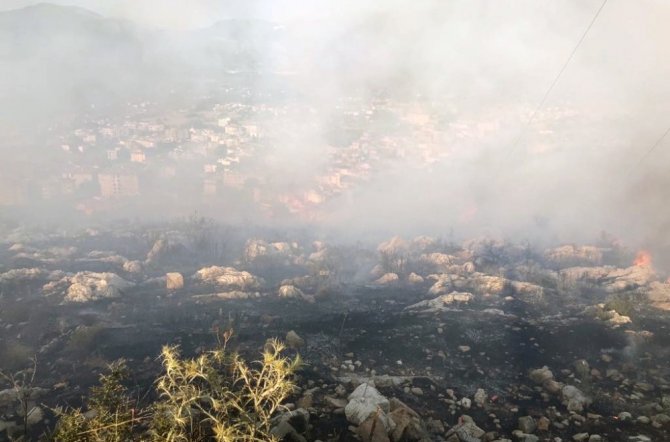 Milas’ta otluk alanda yangın