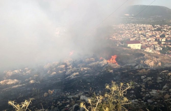 Milas’ta otluk alanda yangın