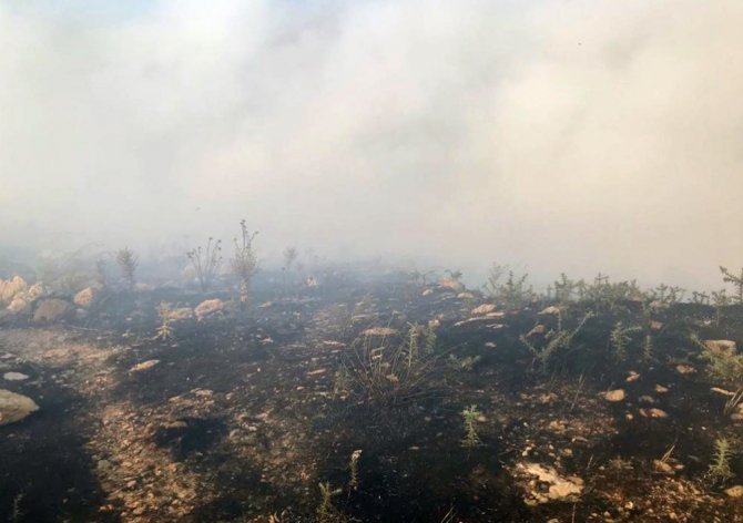 Milas’ta otluk alanda yangın