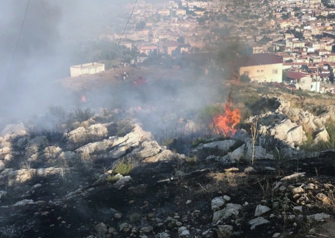 Milas’ta otluk alanda yangın